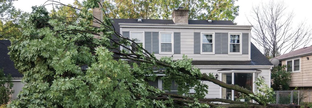 Storm Damage?