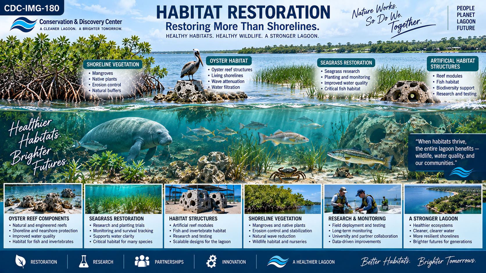 Habitat Restoration — Restoring More Than Shorelines infographic showing four habitat restoration categories: Shoreline Vegetation, Oyster Habitat, Seagrass Restoration, and Artificial Habitat Structures. Branded Conservation & Discovery Center — Healthy Habitats, Healthy Wildlife, A Stronger Lagoon.