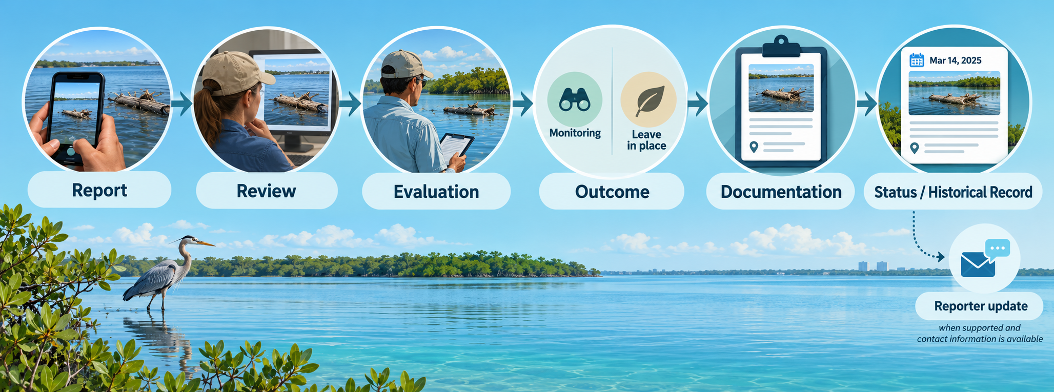 Closing the loop: Report → Review → Evaluation → Outcome → Documentation → Status / Historical Record → and, where supported and contact information is available, a reporter update. The process does not necessarily end with field action; it becomes an understandable record.