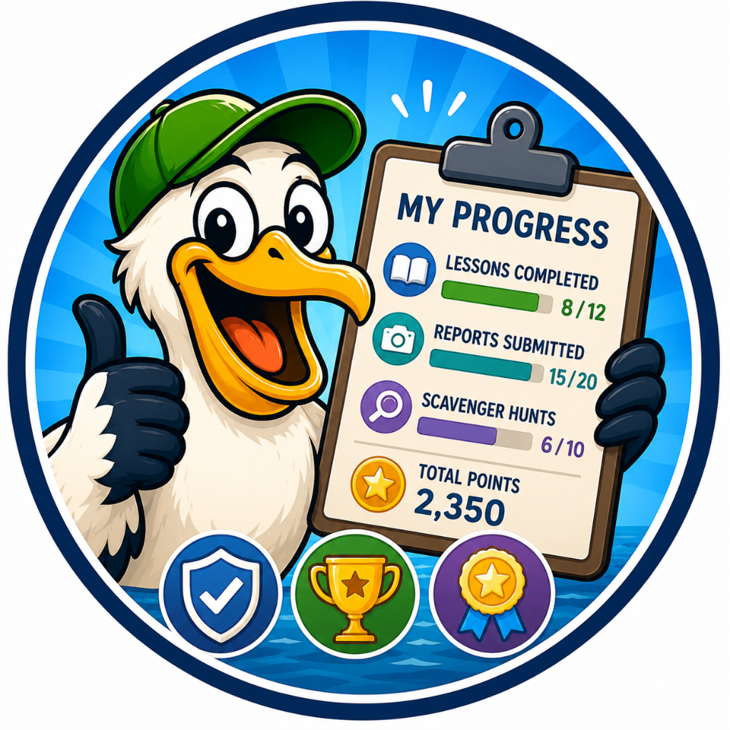 My Progress