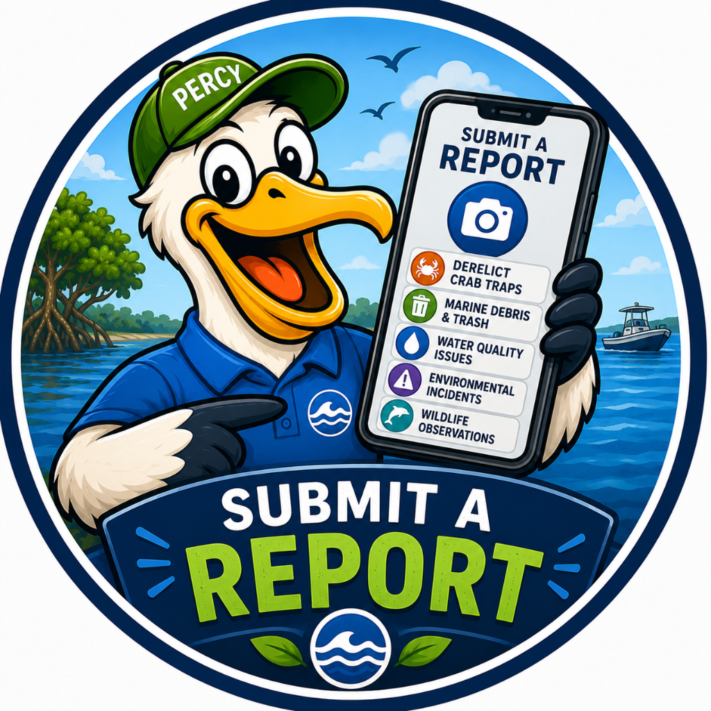 Report