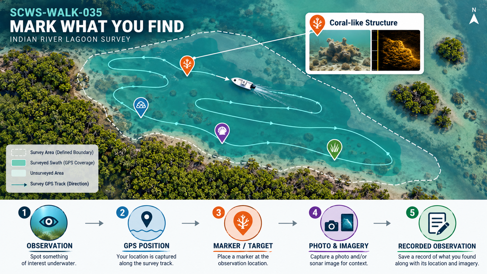 Mark What You Find infographic for Chapter 07, Survey First. An aerial view of a coastal Indian River Lagoon survey area shows a dashed white boundary defining the survey perimeter, a semi-transparent teal-green swath marking GPS-covered area, and a continuous cyan survey track line with direction arrows and a small white boat. Four colored pin markers sit along the track — orange (coral-like structure), blue (rock or debris), purple (shell), and green (seagrass) — with a white callout box at top right showing a Coral-like Structure header, a standard underwater photo of a coral head, and a yellow-on-black side-scan sonar image of the same feature. A legend at bottom-left distinguishes the defined area, surveyed coverage, GPS track, and track direction, with a north arrow at top right. A five-step horizontal process flow runs across the bottom on white: OBSERVATION (spot something of interest underwater), GPS POSITION (location captured along the survey track), MARKER / TARGET (place a marker at the observation location), PHOTO & IMAGERY (capture a photo and/or sonar image for context), and RECORDED OBSERVATION (save a record of what was found with its location and imagery). Visitor-facing — no database fields or internal admin systems.