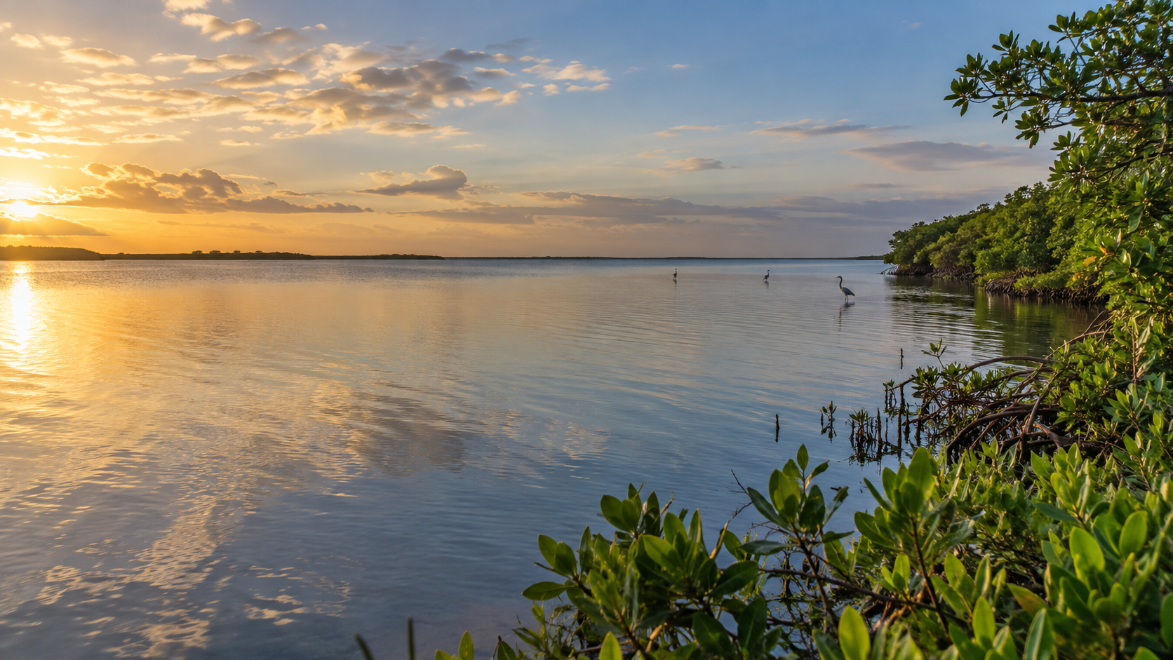 Indian River Lagoon