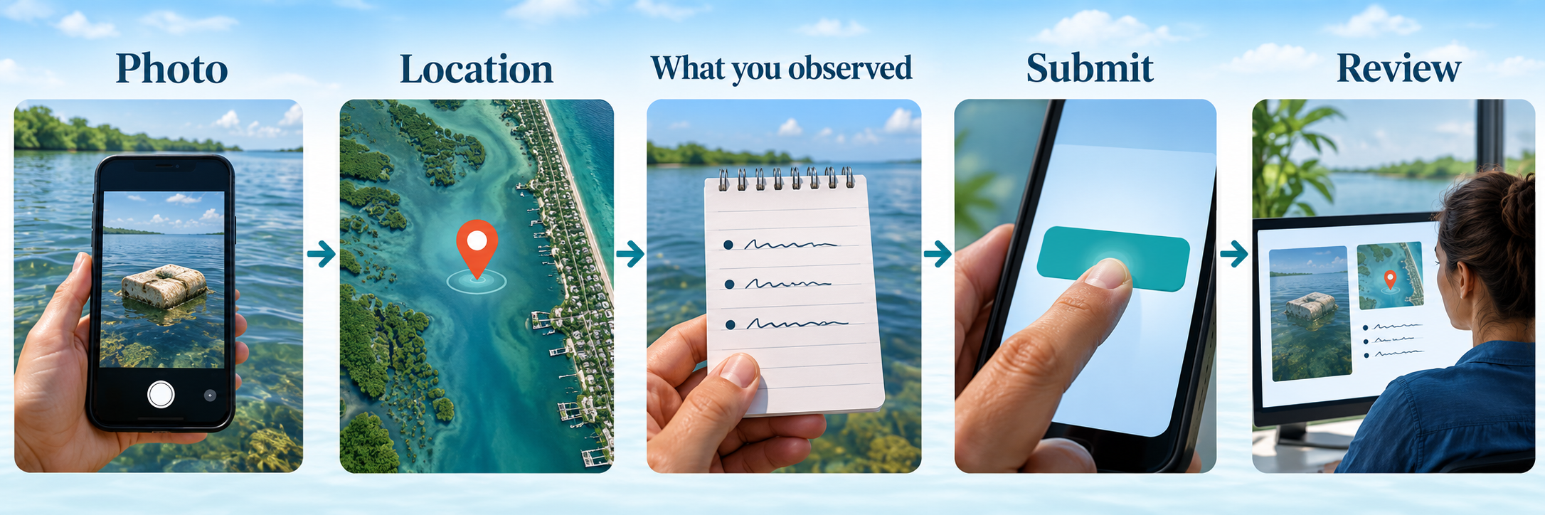 Five-step horizontal submission workflow — Photo (smartphone camera capturing a submerged crab trap), Location (aerial coastal waterway with a pulsing red map pin), What you observed (a hand holding a notepad with bullet points), Submit (a hand pressing a teal submit button), and Review (an over-the-shoulder view of a person at a monitor showing the submitted photo, map pin, and observations). The visual stops at Review and does not continue into assignment, field recovery, mapping, or removal.