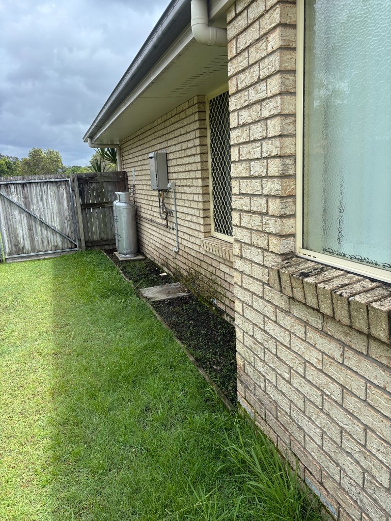 Moss growing on brick wall caused by hidden water leak