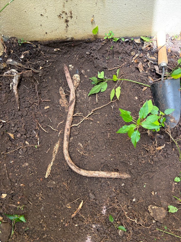 Before: Burst copper pipe damaged during excavation