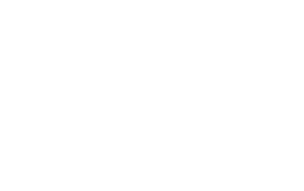 MiniChat Pro V2