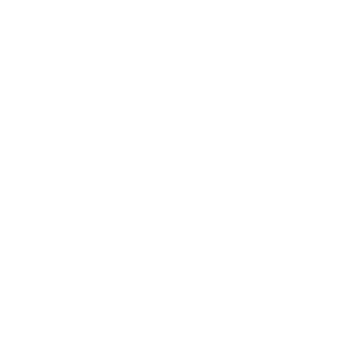 MiniChat X