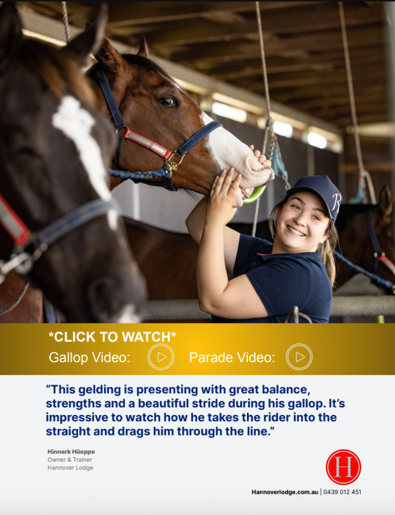 Hannover Lodge — Lot 78 showcase with gallop video and testimonial