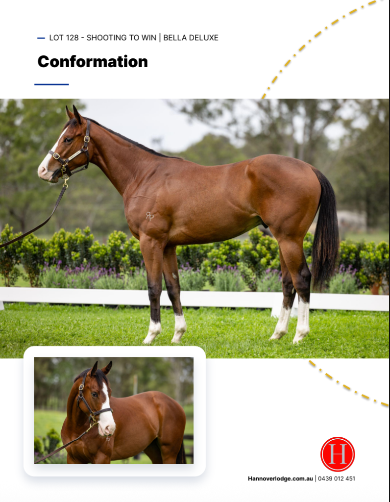 Hannover Lodge — Conformation page, Lot 128