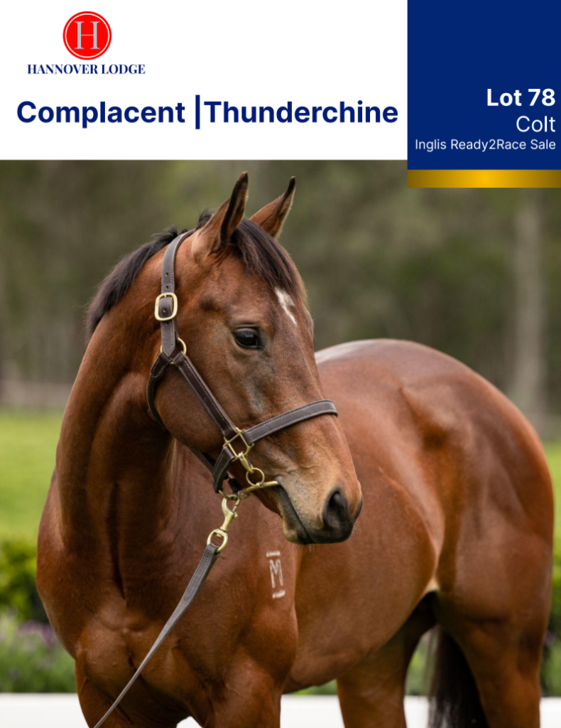 Hannover Lodge — Lot 78 cover: Complacent | Thunderchine