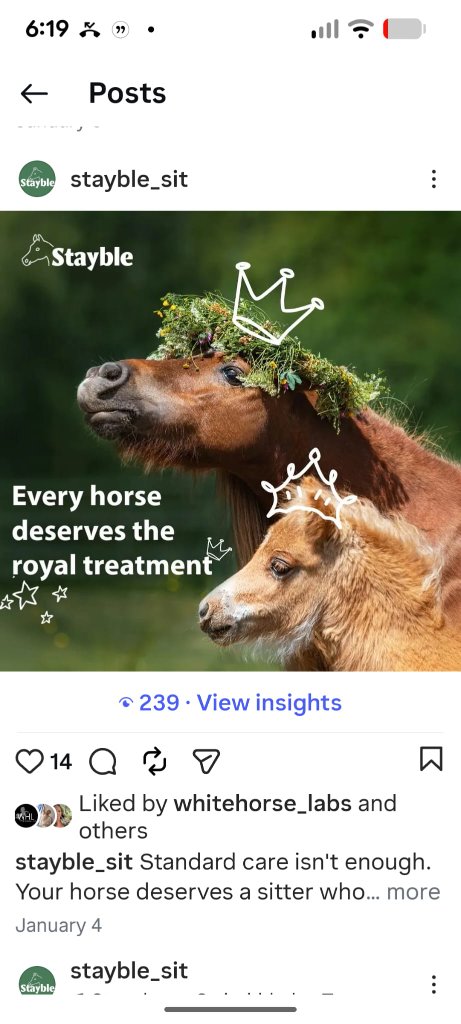 Stayble Instagram social post on mobile