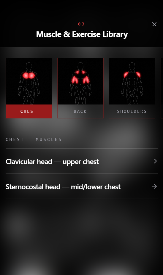 Muscle & exercise library