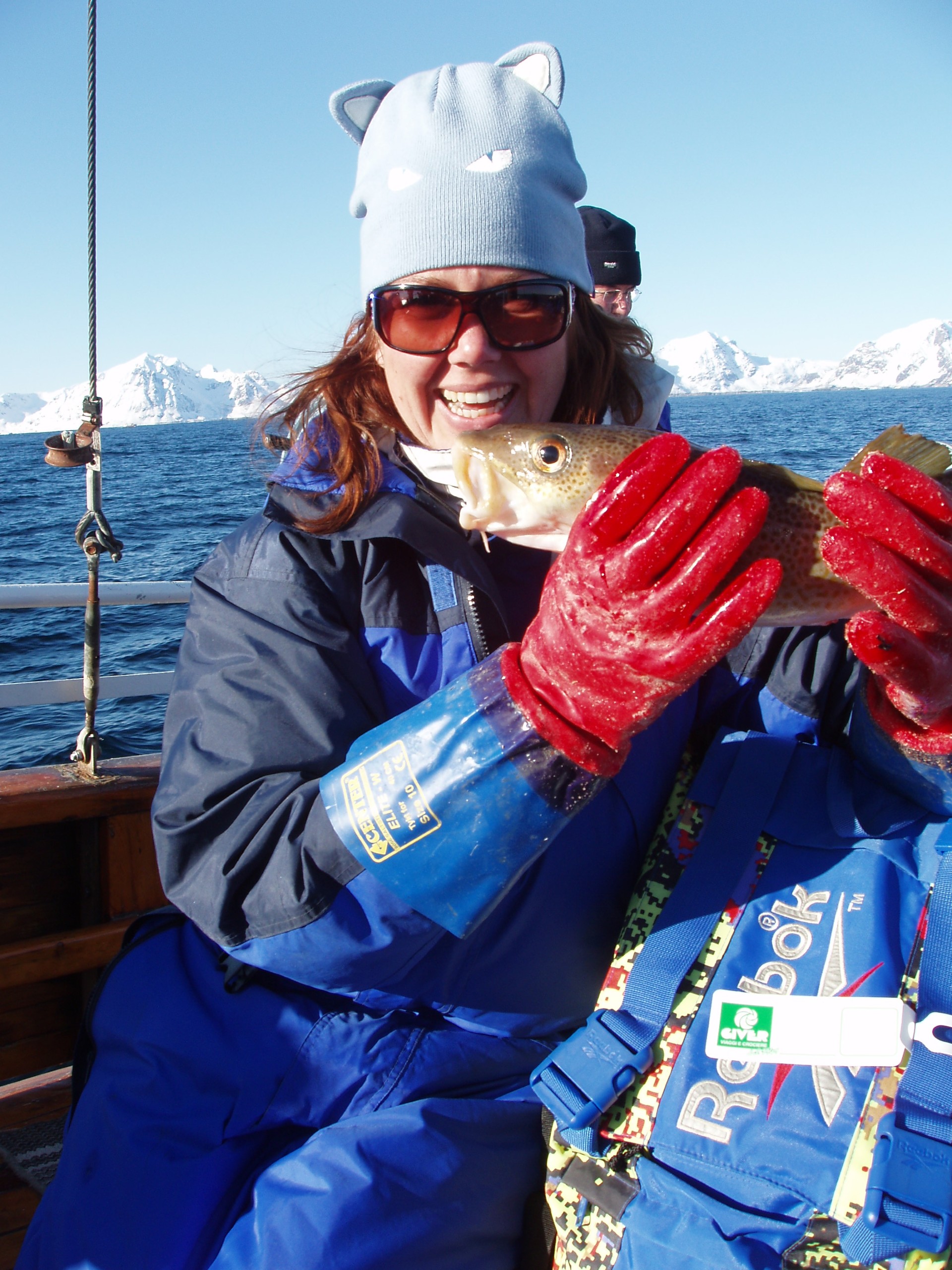Lisefisk på Lofothavet