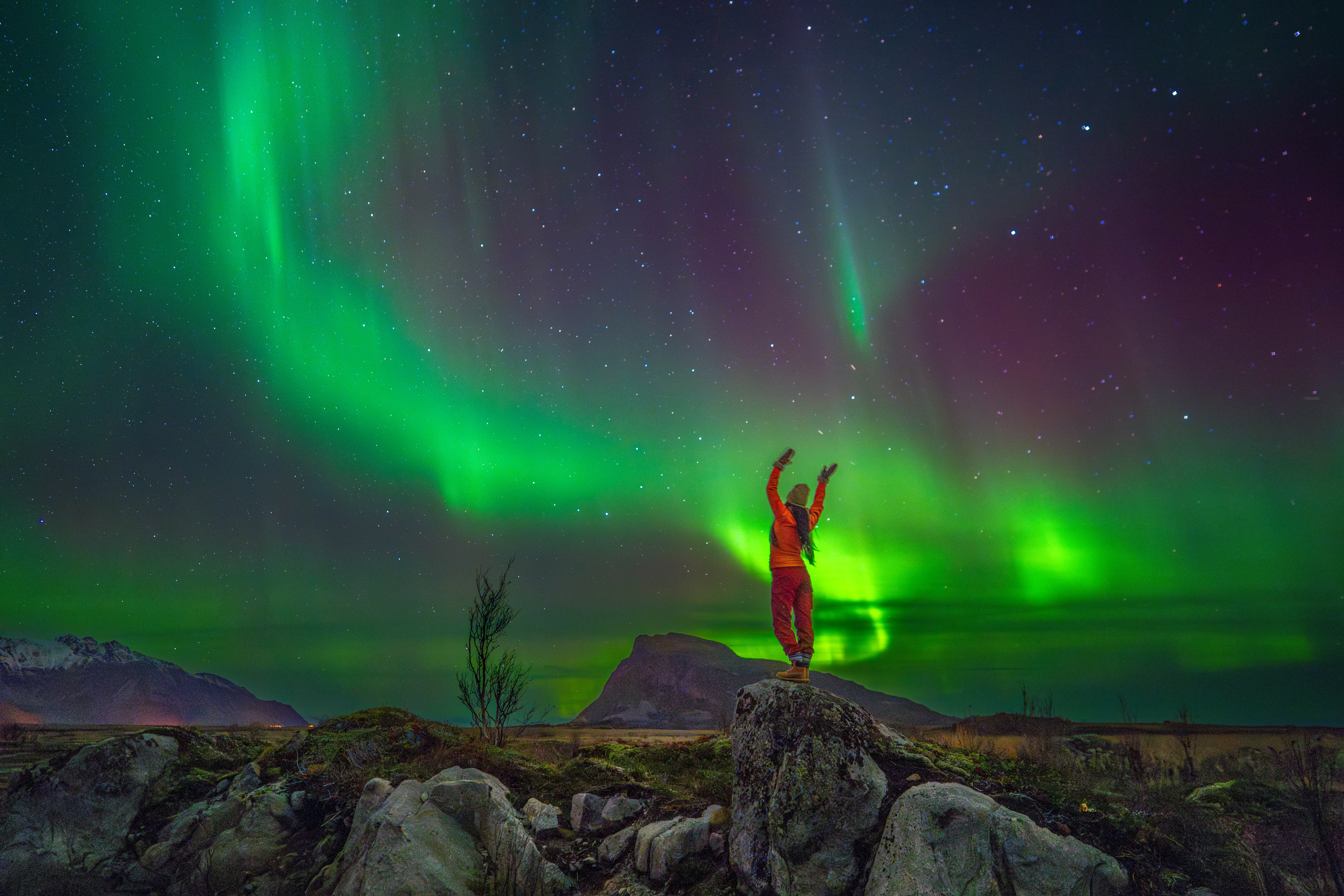 Nordlys i Lofoten