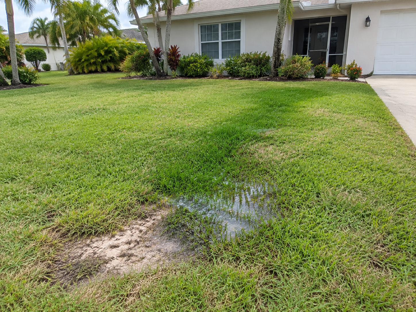 Waterlogged mud and standing water in a front lawn, with a strip of dark green grass marking the path of an underground water line leak toward a Davie home