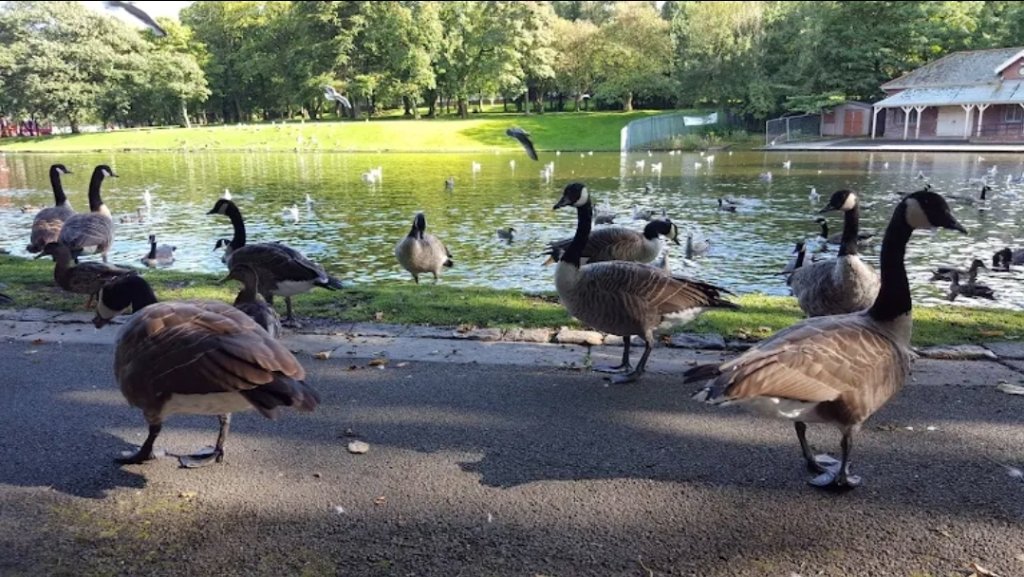 Witton Country Park