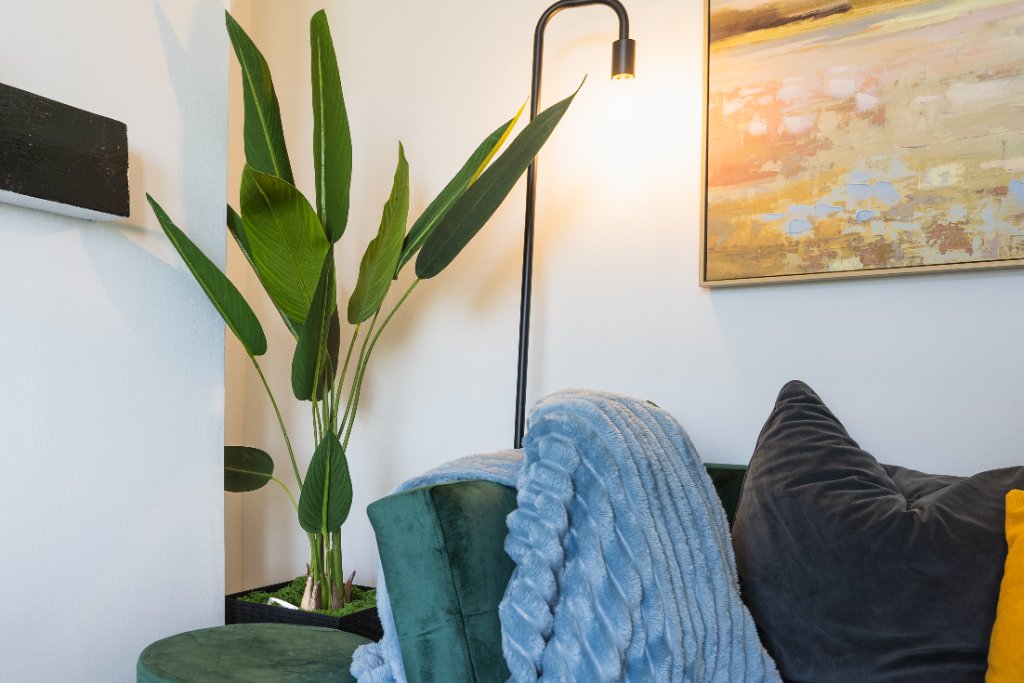 Living room plant and art