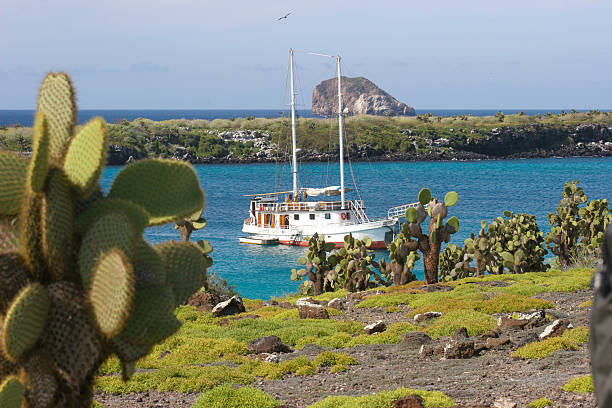 Sailboat in Galápagos bay with cacti
