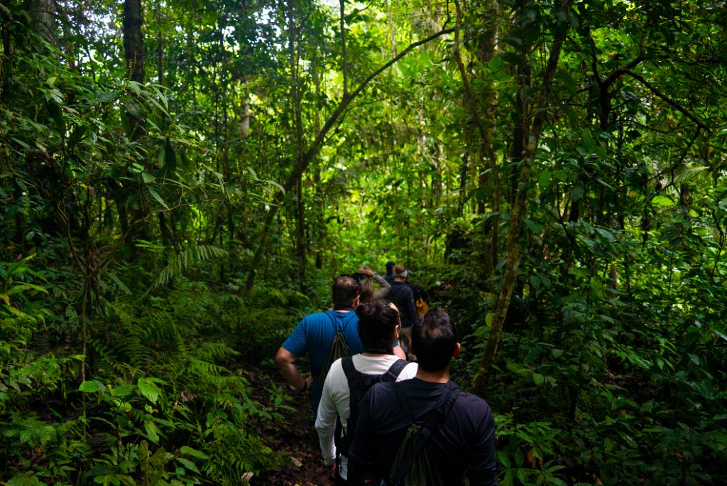 La Selva Eco-Lodge guided Amazon experience
