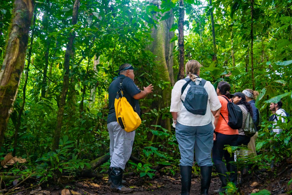 La Selva Eco-Lodge guided Amazon experience