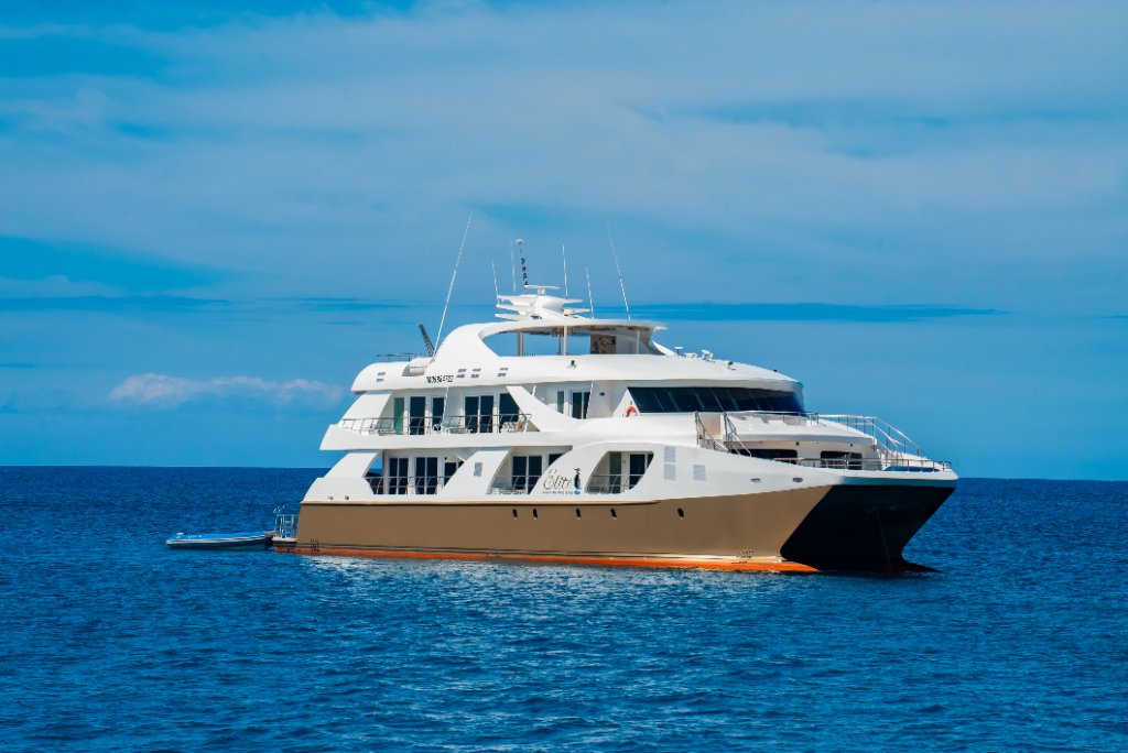 Side profile of M/C Elite luxury Galapagos catamaran on blue water