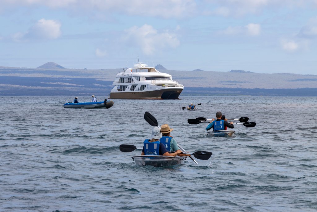 Galápagos coastal scenery with a sea lion and the M/C Elite yacht offshore — kosher travel destination Ecuador