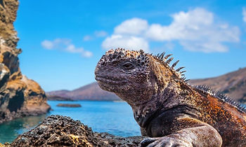 Volcanoes & remote landscapes