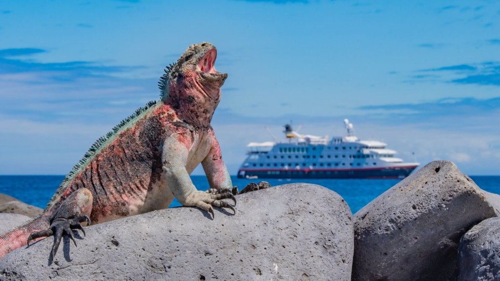 National Geographic expedition cruise