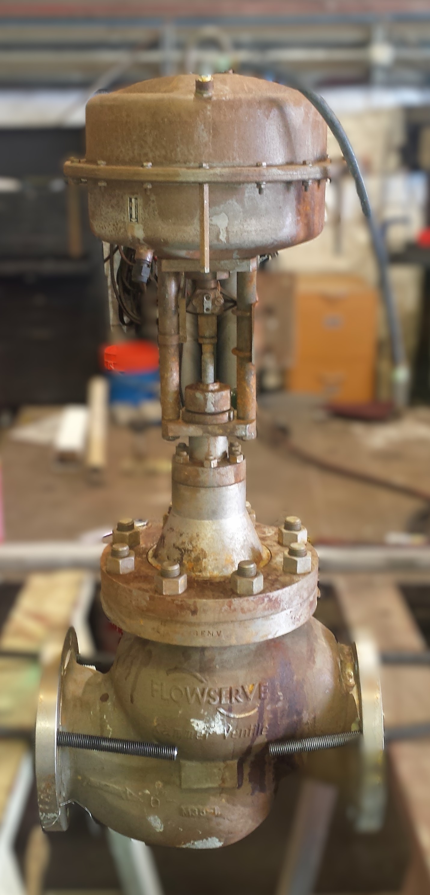 Valve Repair & Overhaul 1