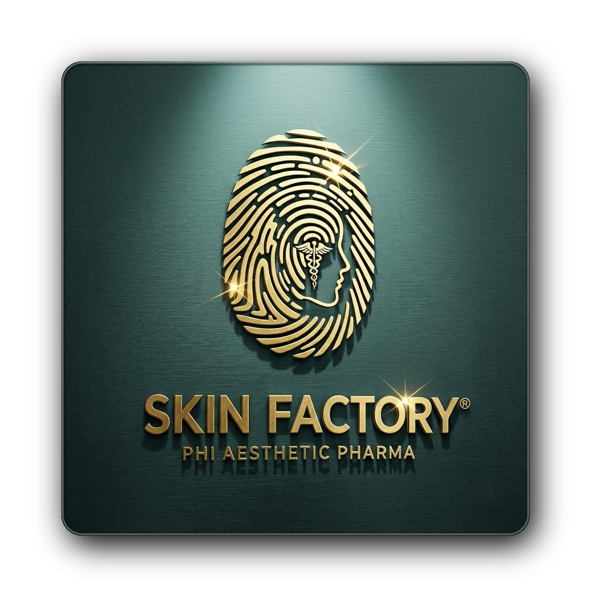 SKIN FACTORY