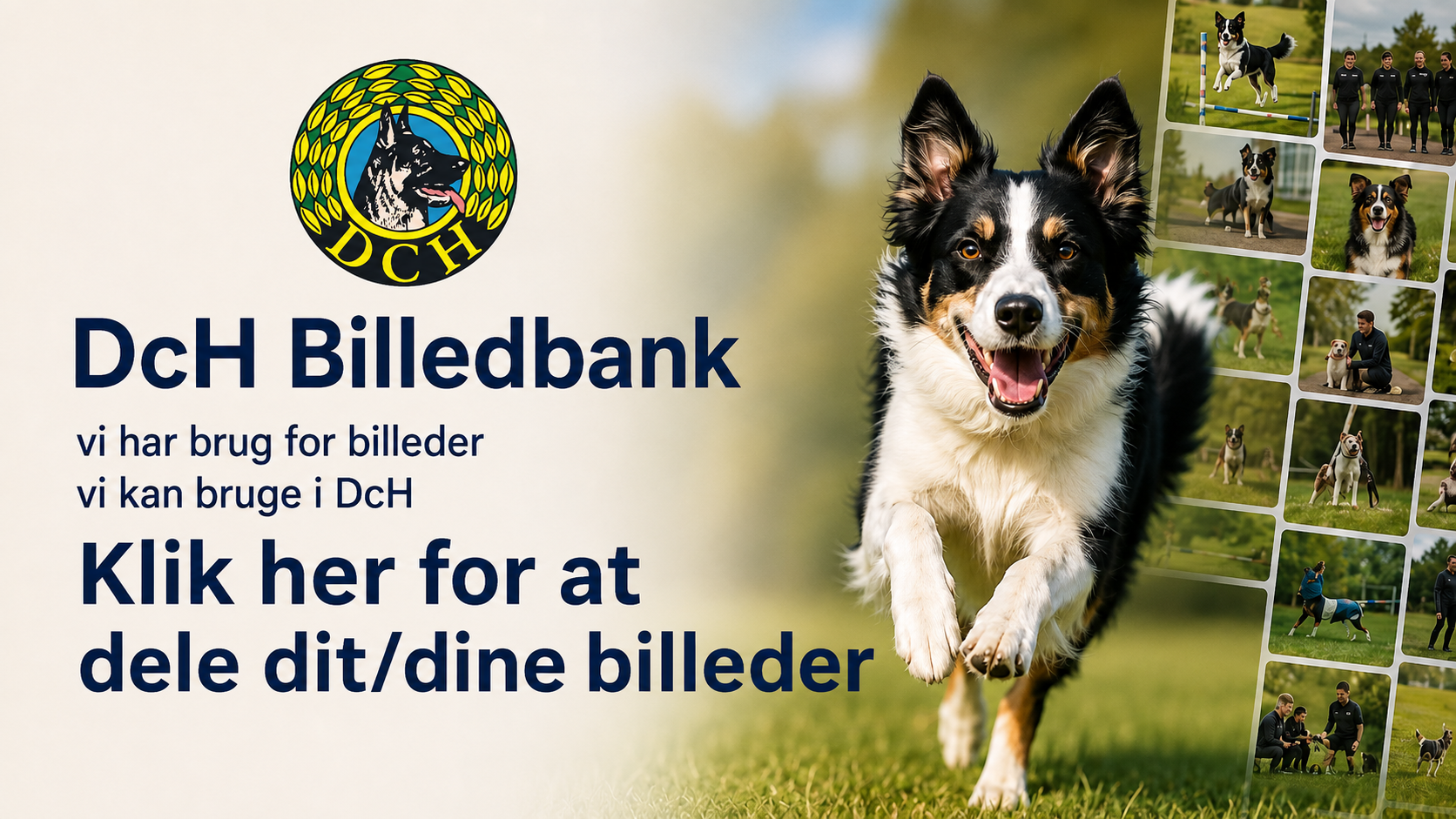 Kurser og events