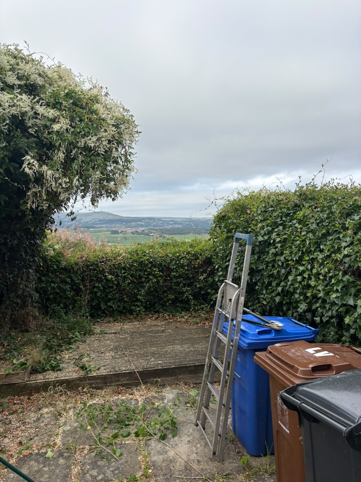 Decking & Bin Area Tidy-Up before