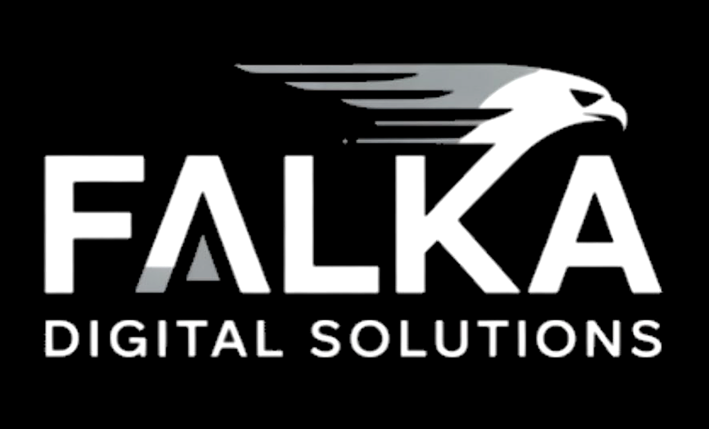 Falka Digital Solutions