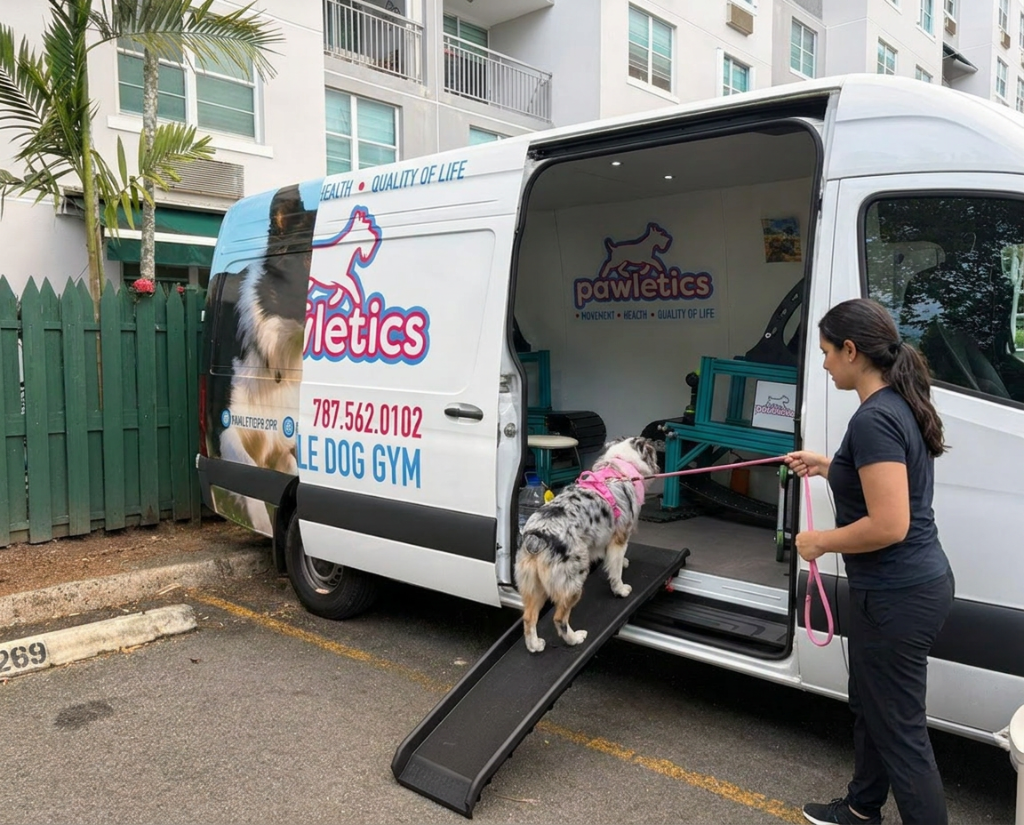 Tu perro entra a un ambiente seguro y climatizado
