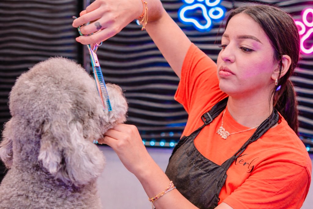Dog being groomed at Happy Paws salon