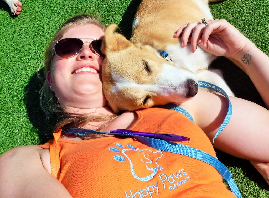Happy dogs at the resort