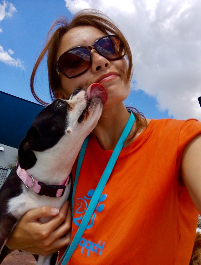 Happy pets at Happy Paws