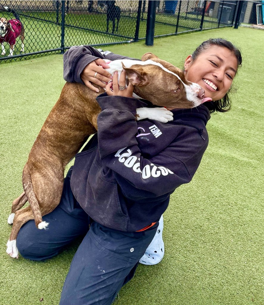 Happy pets at Happy Paws