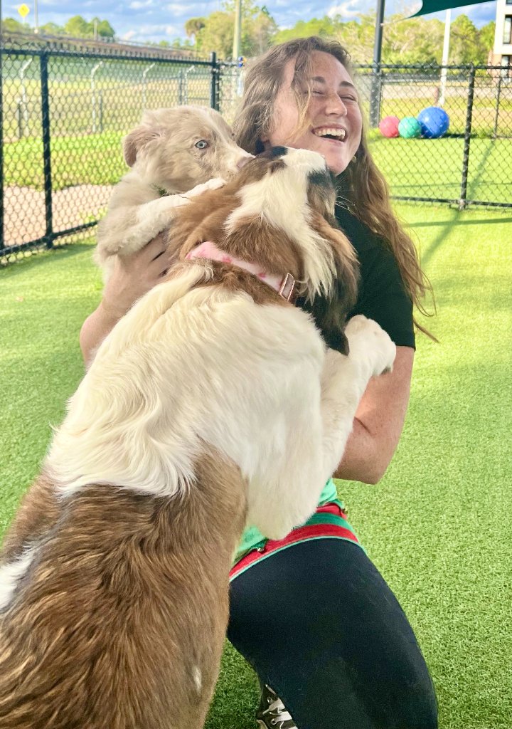 Happy pets at Happy Paws