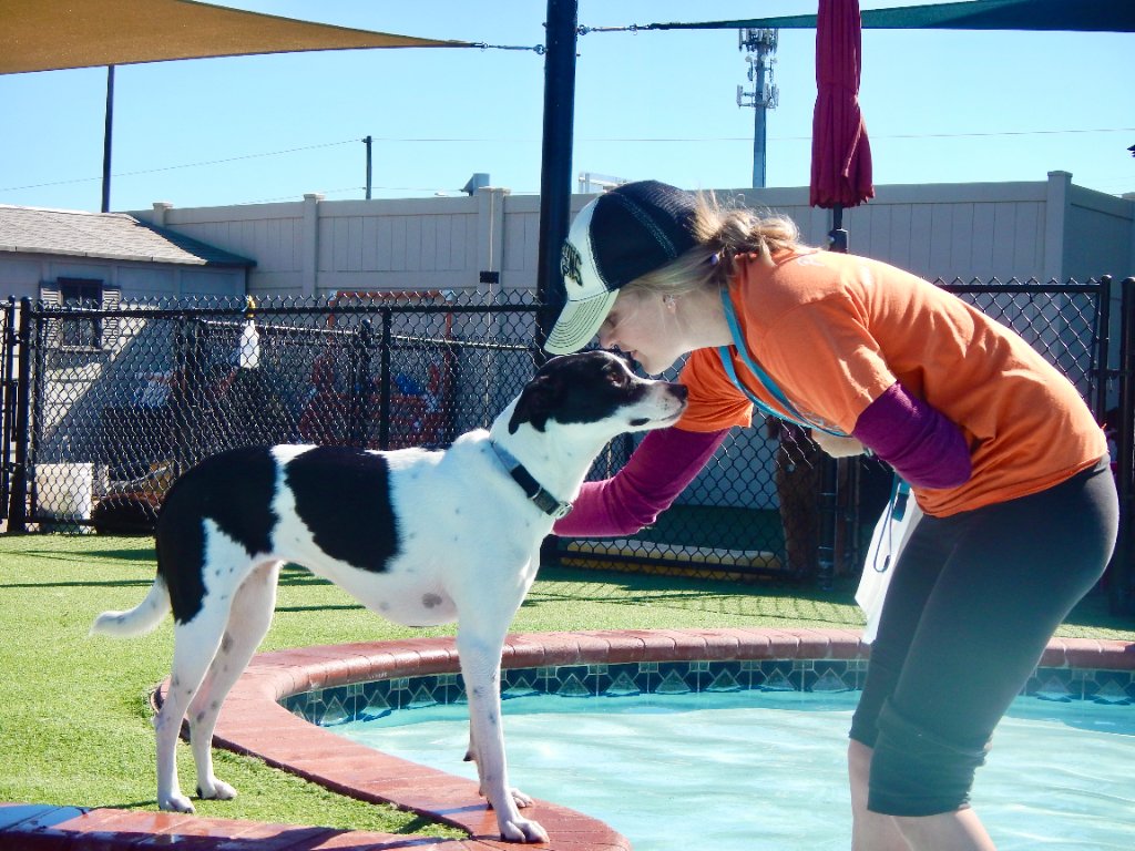 Happy pets at Happy Paws