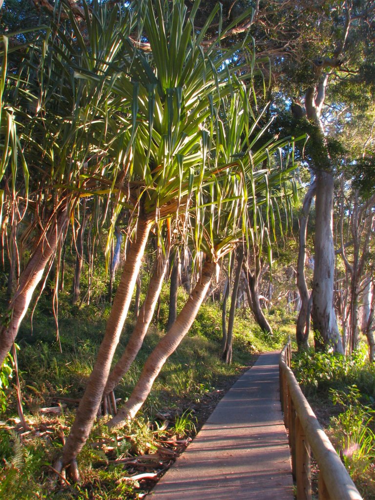 Walk the Beautiful Coastal National Park