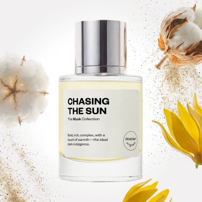 Dossier Chasing the Sun — dupe of Original Creation