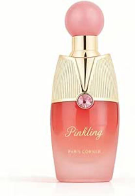 Paris Corner Pinkling — dupe of Burberry Her