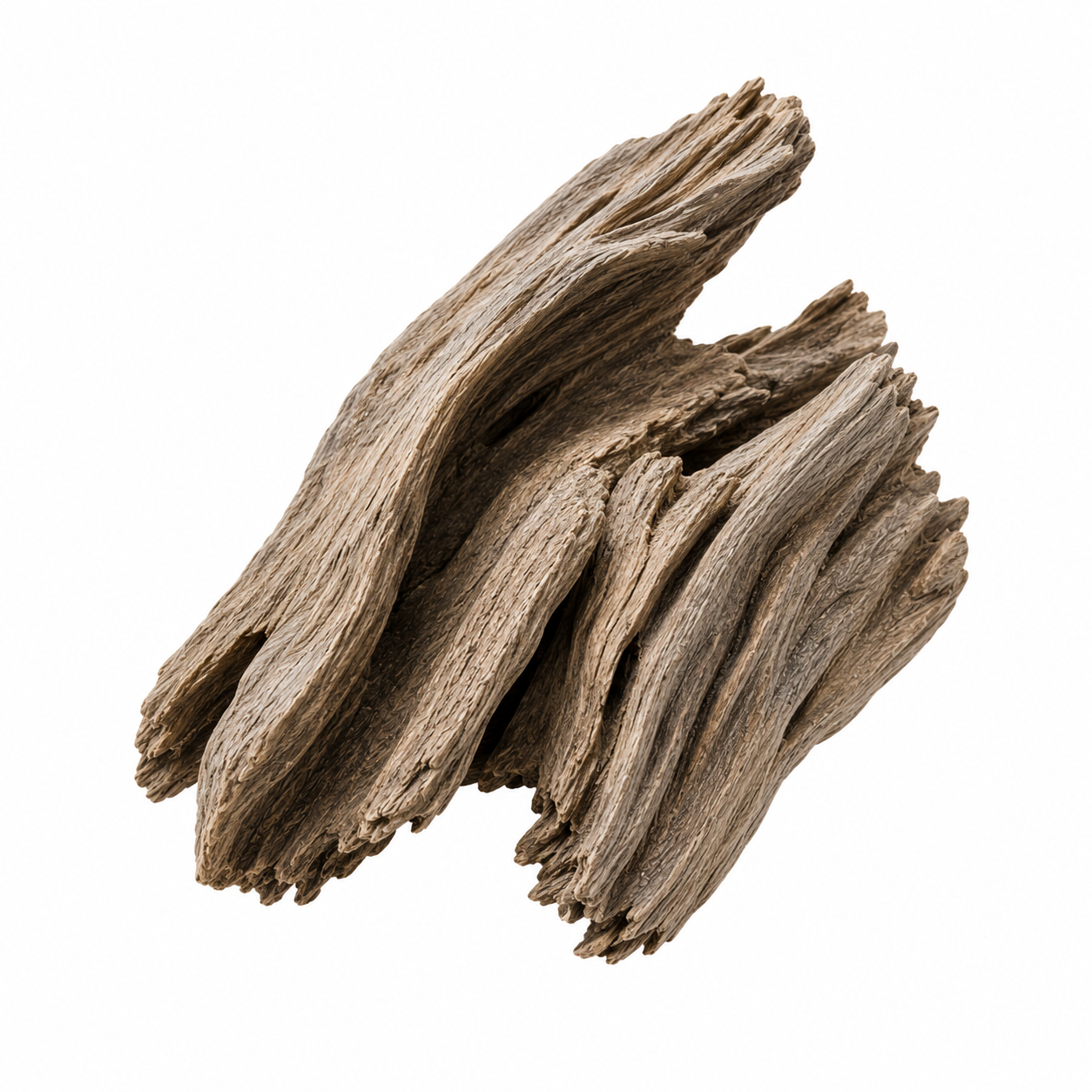Cashmere Wood note