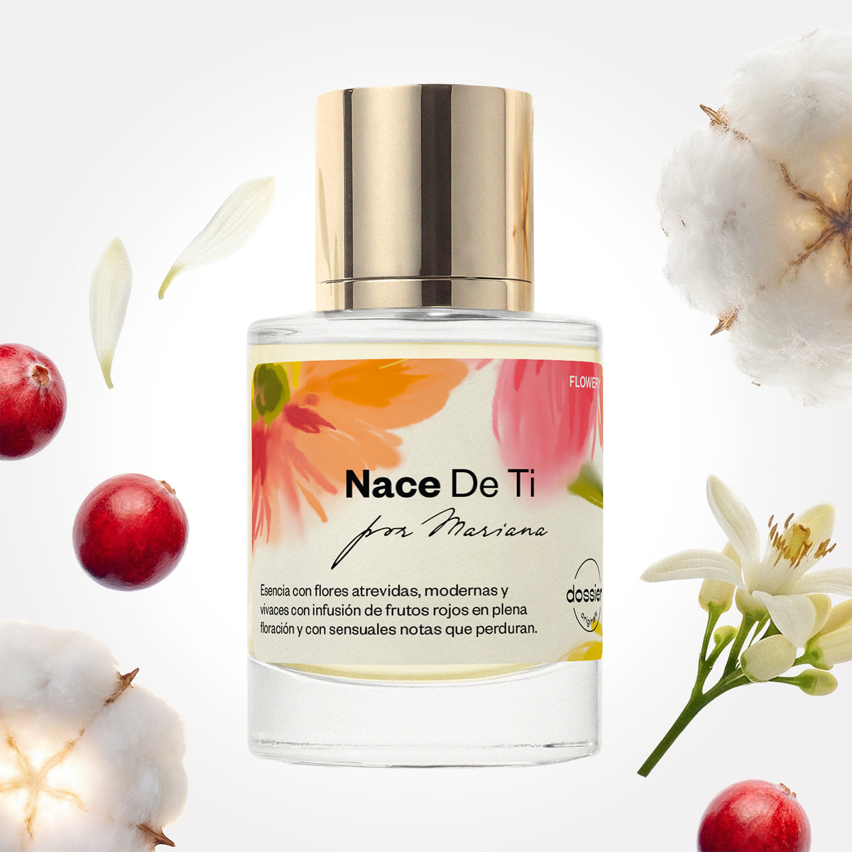 Dossier Nace De Ti — dupe of Original Creation