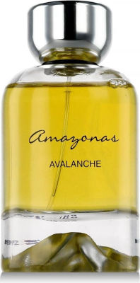 Atralia Amazonas Avalanche Arab — dupe of Dior Homme Intense