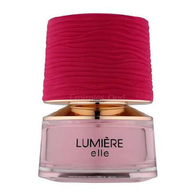 French Avenue Lumière Elle — dupe of Louis Vuitton Stellar Times