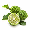 Calabrian Bergamot note