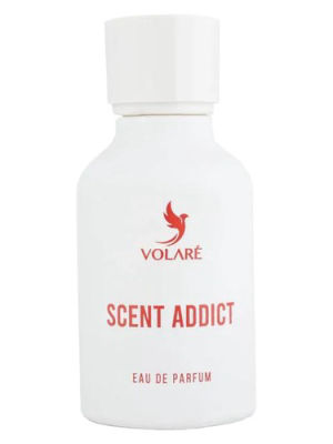 Volaré Scent Addict — dupe of Initio Addictive Vibration
